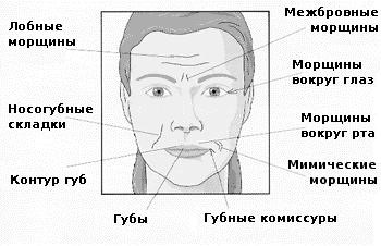 морщины